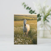 Carte postale Cheval Blanc dans Prairie de Fleurs (Debout devant)