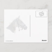 Carte Postale Cheval Blanc En Neige (Dos)