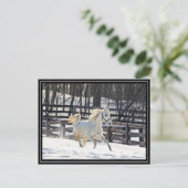Carte Postale Cheval blanc galopant (Debout devant)