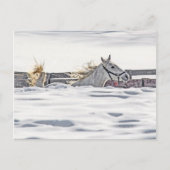 Carte Postale Cheval Blanc Galopant Dans La Neige (Devant)