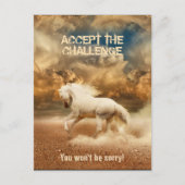 Carte Postale Cheval blanc sauvage traversant le désert - Collec (Devant)