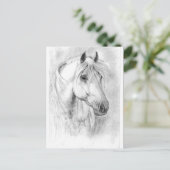 Carte Postale Cheval blanc tête (Debout devant)