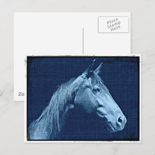 Carte Postale Cheval Bleu (Devant / Derrière)