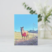 Carte Postale Cheval bleu Brown teinté Coeur rouge (Debout devant)