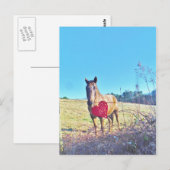 Carte Postale Cheval bleu Brown teinté Coeur rouge (Devant / Derrière)