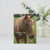 Carte postale Cheval Bonjour (Debout devant)