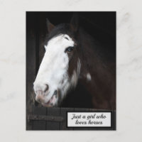 Cheval Brown à la ferme Juste une fille qui aime l