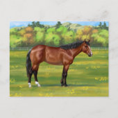 Carte Postale Cheval Brown Bay Quarter (Devant)