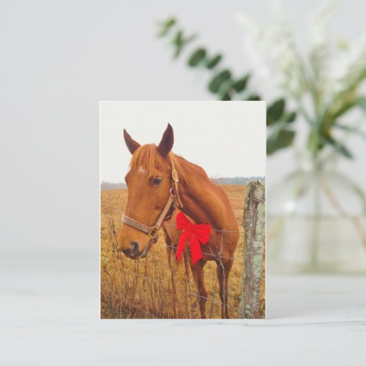 Carte Postale Cheval Brown Bow (Debout devant)