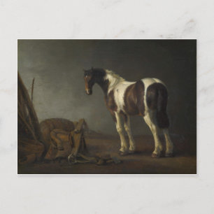 Carte Postale Cheval Brown et blanc