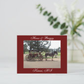 Carte Postale Cheval & Buggy, Kauai, HI (Debout devant)