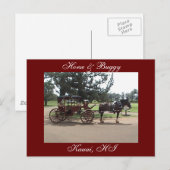 Carte Postale Cheval & Buggy, Kauai, HI (Devant / Derrière)