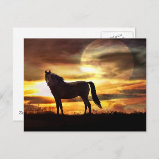 Carte postale Cheval Céleste et Lune (Devant / Derrière)