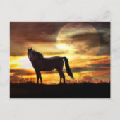 Carte postale Cheval Céleste et Lune (Devant)