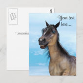 Carte Postale Cheval Chanceux (Devant / Derrière)