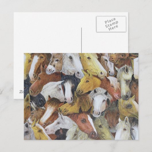 Carte Postale Cheval Chevaux (Devant / Derrière)