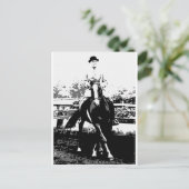 Carte Postale Cheval classique 14 (Debout devant)