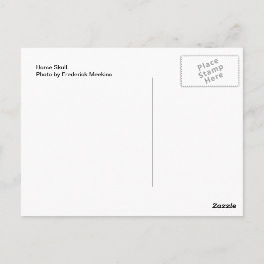 Carte Postale Cheval crâne (Dos)