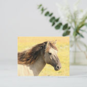 Carte Postale Cheval dans la nature (Debout devant)