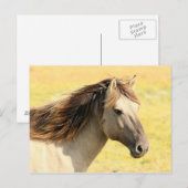 Carte Postale Cheval dans la nature (Devant / Derrière)