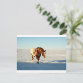 Carte Postale cheval dans la neige (Debout devant)