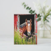 Carte Postale Cheval Dans Porte de Grange (Debout devant)