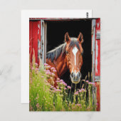 Carte Postale Cheval Dans Porte de Grange (Devant / Derrière)