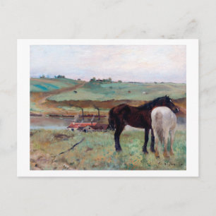 Carte Postale Cheval dans une prairie, Edgar Degas