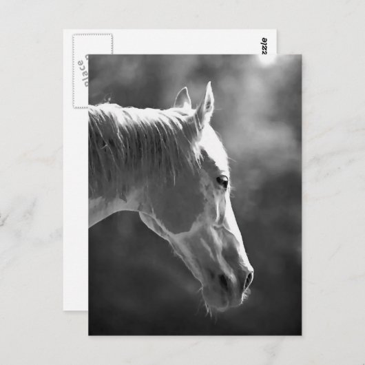 Carte Postale Cheval d'art pop noir et blanc (Devant / Derrière)