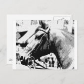 Carte Postale Cheval d'art pop noir et blanc (Devant / Derrière)