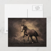 Carte Postale Cheval de Baie (Devant / Derrière)