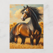 Carte Postale Cheval de baie en lunettes de soleil (Devant)