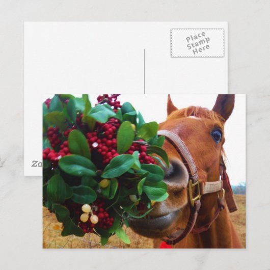 Carte Postale Cheval de baiser sous Mistletoe (Devant / Derrière)