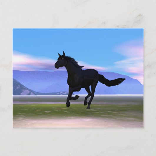 Carte Postale Cheval de Black Galloping (Devant)