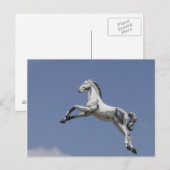 Carte Postale Cheval de Carousel (Devant / Derrière)
