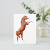 Carte postale Cheval de châtaignes (Debout devant)