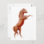 Carte postale Cheval de châtaignes (Devant / Derrière)