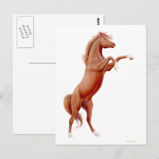 Carte postale Cheval de châtaignes (Devant / Derrière)