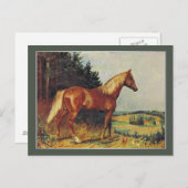 Carte Postale Cheval de châtaignes (Devant / Derrière)