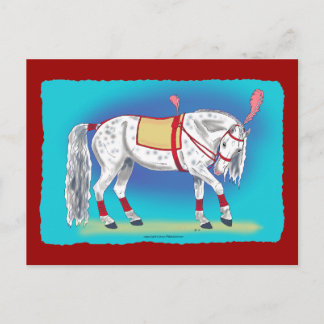 Carte Postale Cheval de cirque