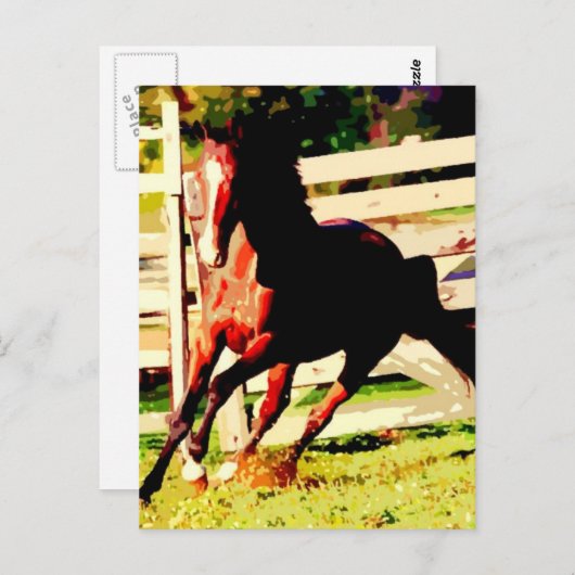 Carte Postale Cheval de course (Devant / Derrière)