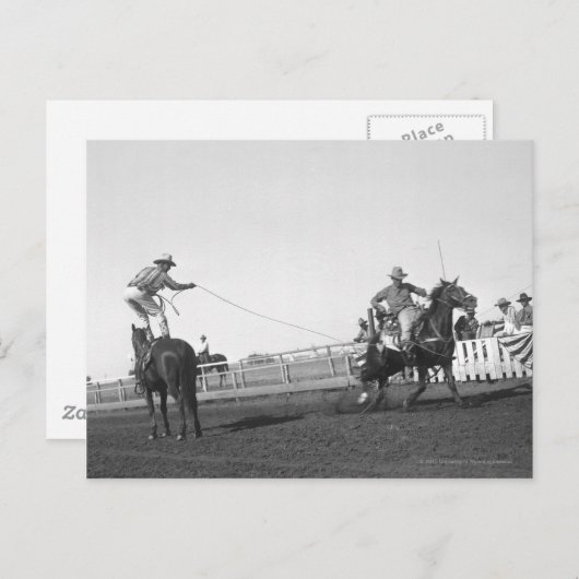 Carte Postale Cheval de course (Devant / Derrière)