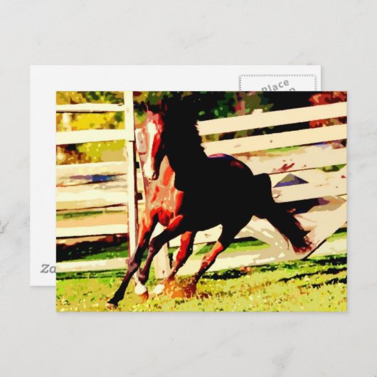 Carte Postale Cheval de course (Devant / Derrière)