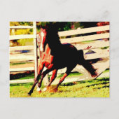 Carte Postale Cheval de course (Devant)