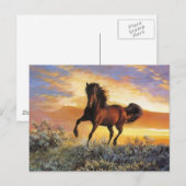 Carte Postale Cheval de course (Devant / Derrière)