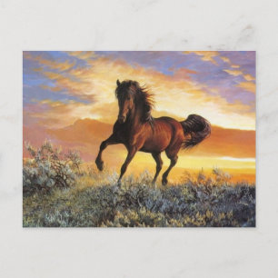 Carte Postale Cheval de course