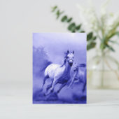 Carte Postale Cheval de course (Debout devant)