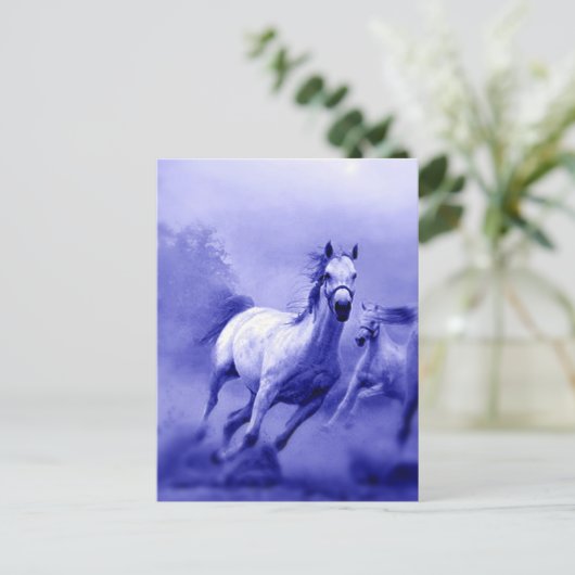 Carte Postale Cheval de course (Debout devant)