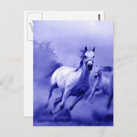 Carte Postale Cheval de course (Devant / Derrière)