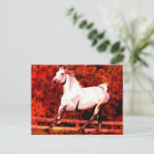 Carte Postale Cheval de course (Debout devant)